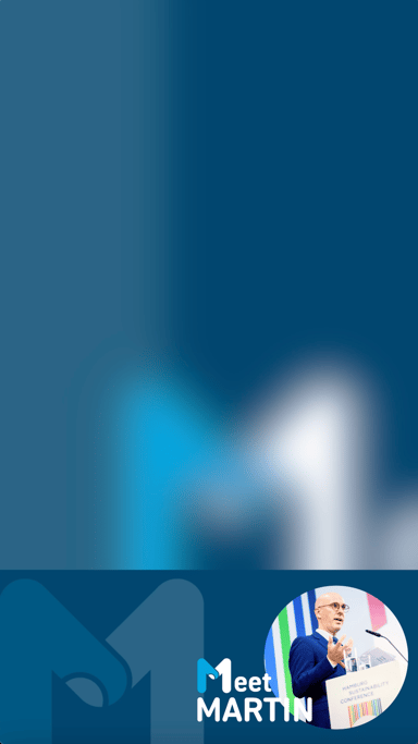 Meet Martin screenshot