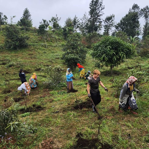 0f366a4c-cb62-4fe9-a05d-b94497262890