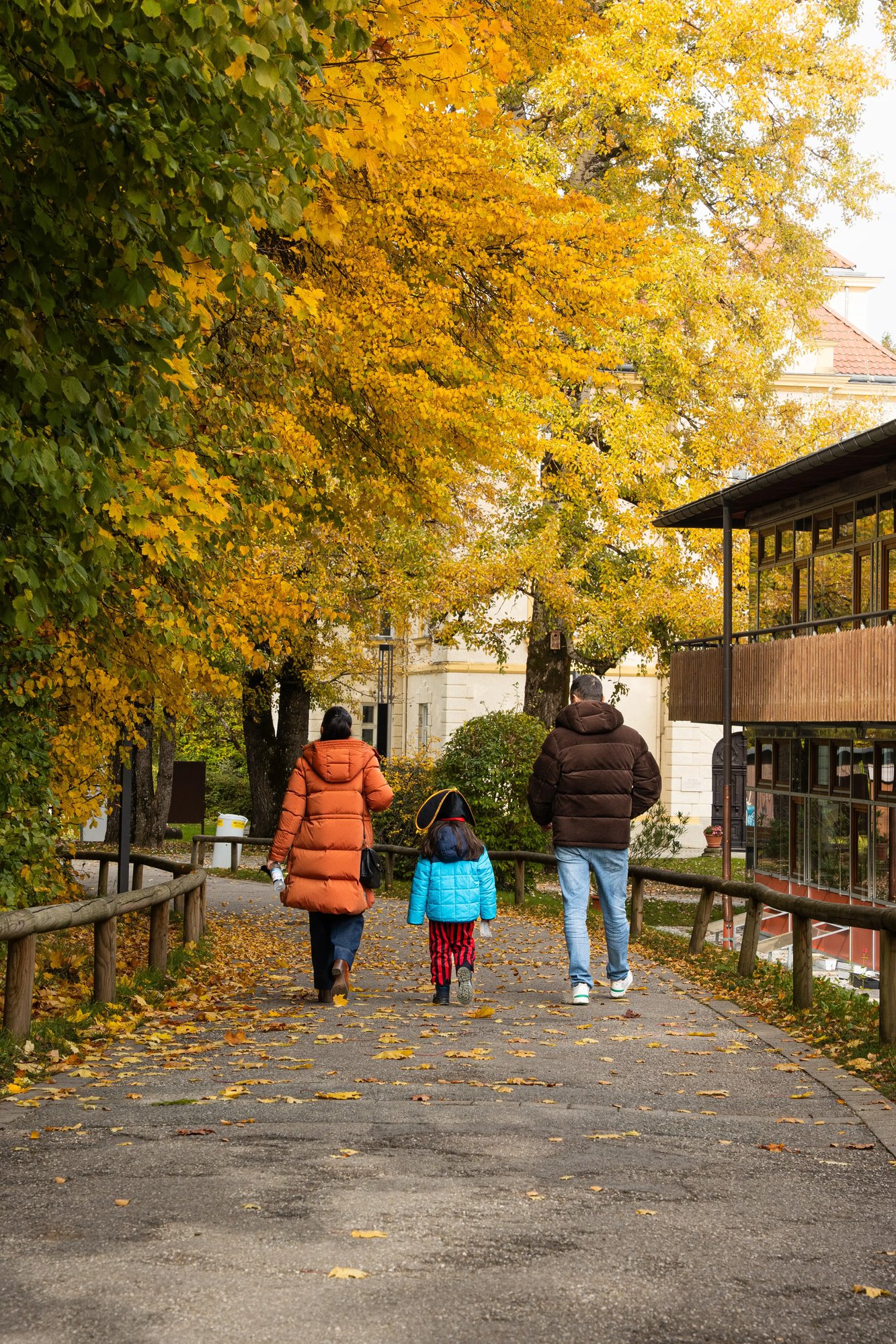 MIS - Pirate day-081