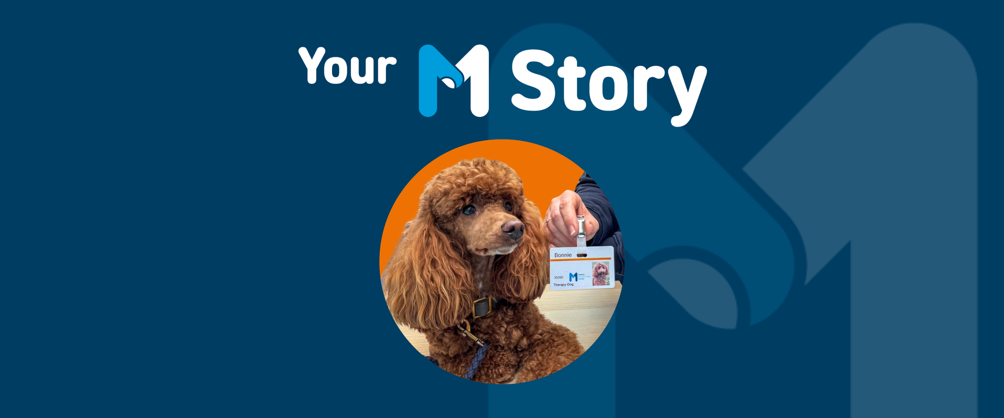 Meet Bonnie, MIS's certified support dog